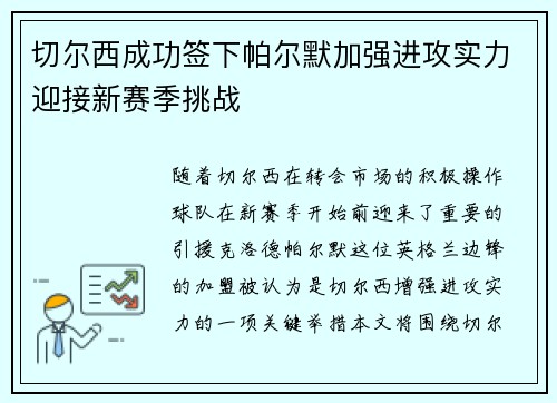 切尔西成功签下帕尔默加强进攻实力迎接新赛季挑战